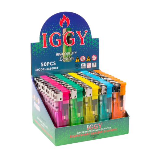 IGGY electronic refillable lighter